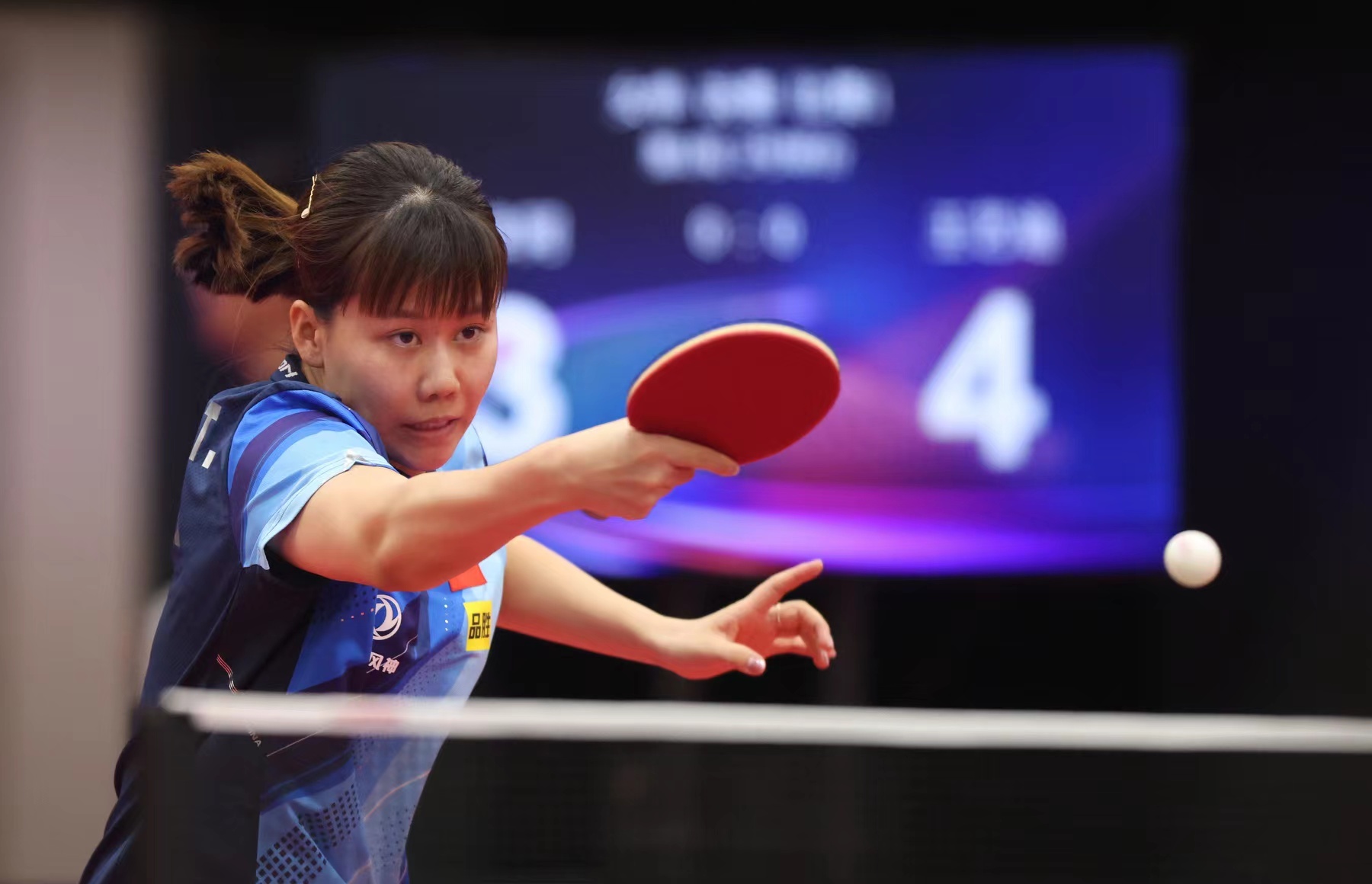 绰号喜鹊 绰号喜鹊